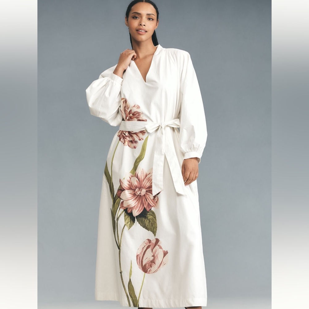 NWT Anthropologie Belted V-Neck Midi Dress